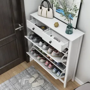 16 Pair Shoe Storage Cabinet Red Barrel Studio®