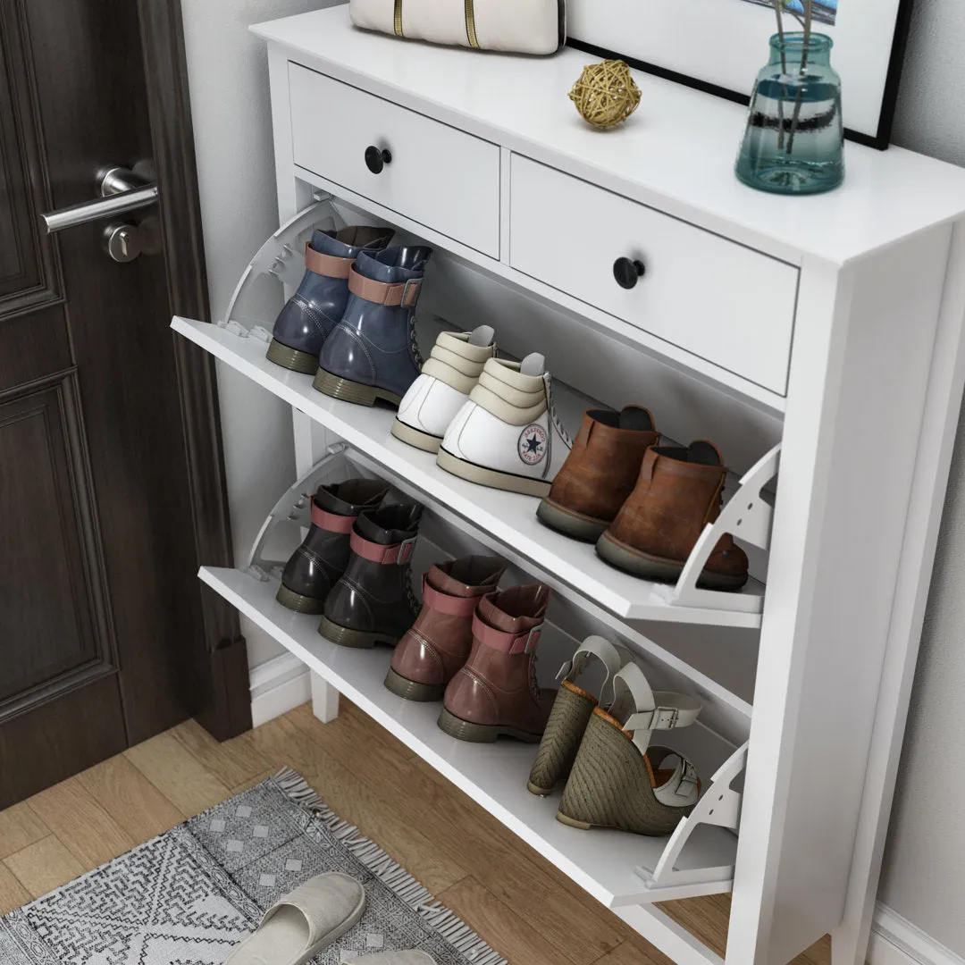 16 Pair Shoe Storage Cabinet Red Barrel Studio®