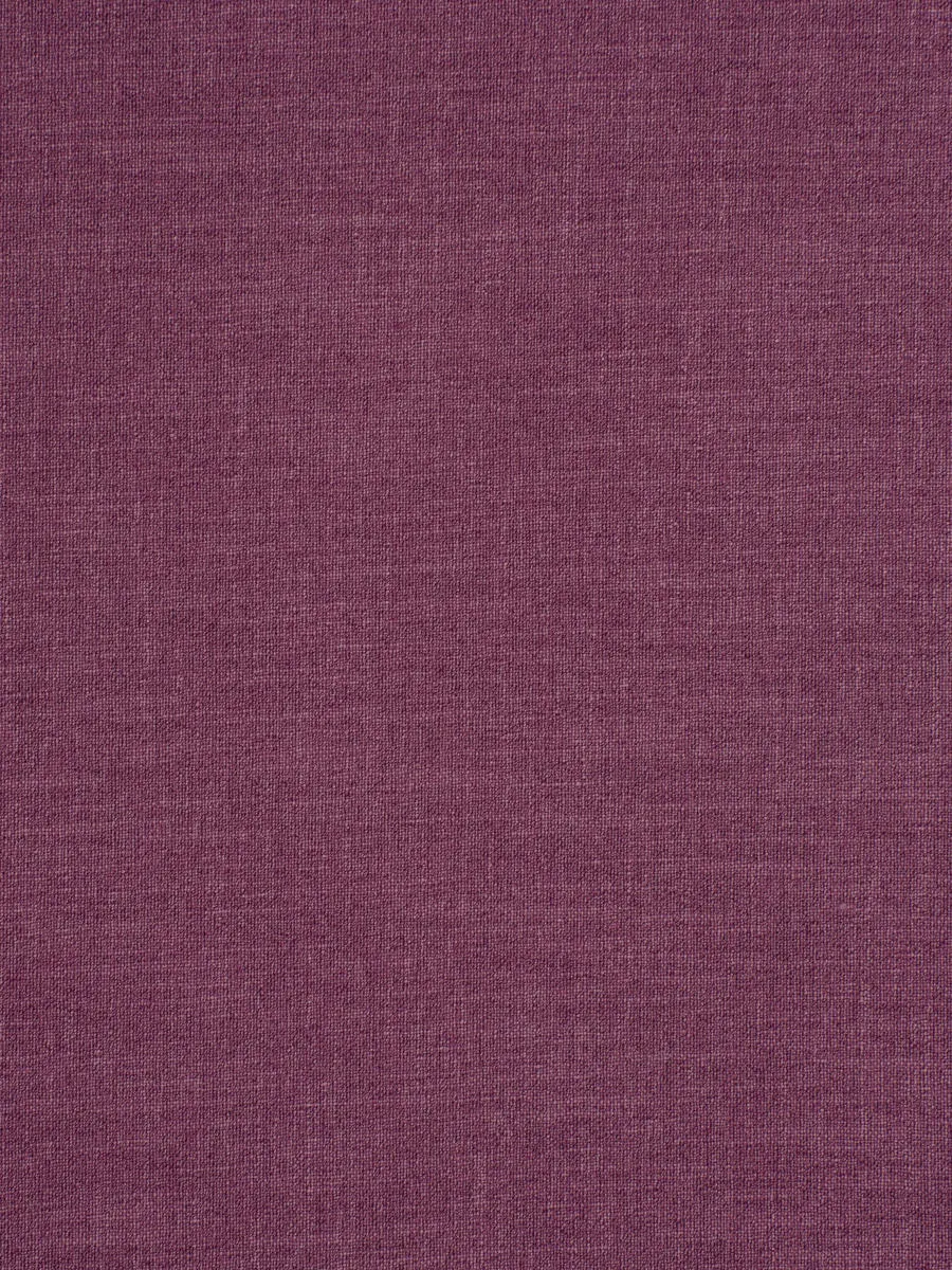 Alpine - Violet