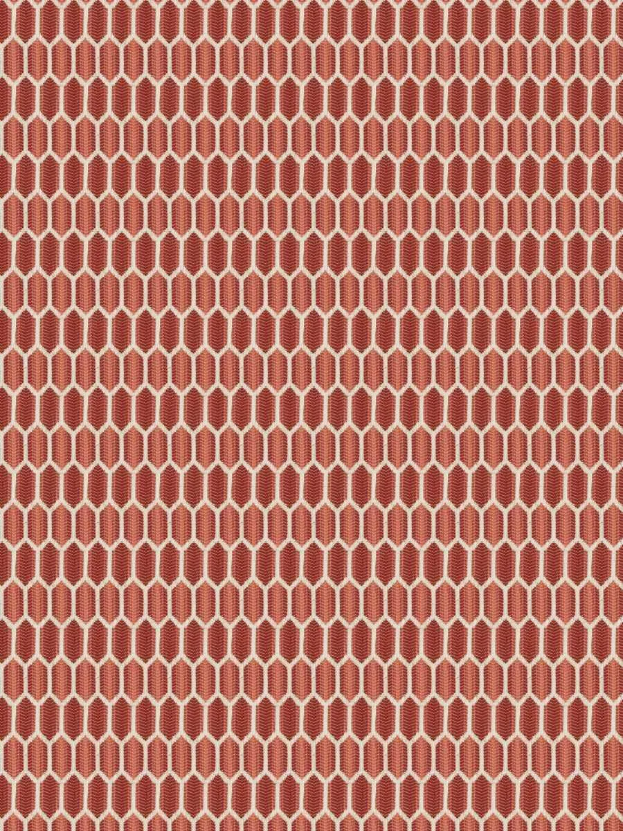 Amoli hex - Ribbon