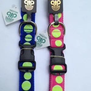Big Dog Collar