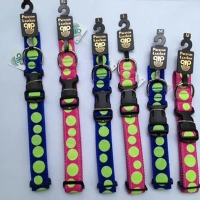 Big Dog Collar