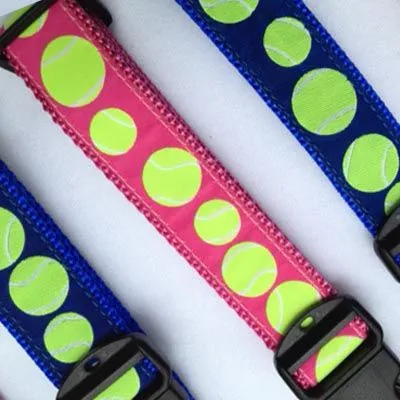 Big Dog Collar