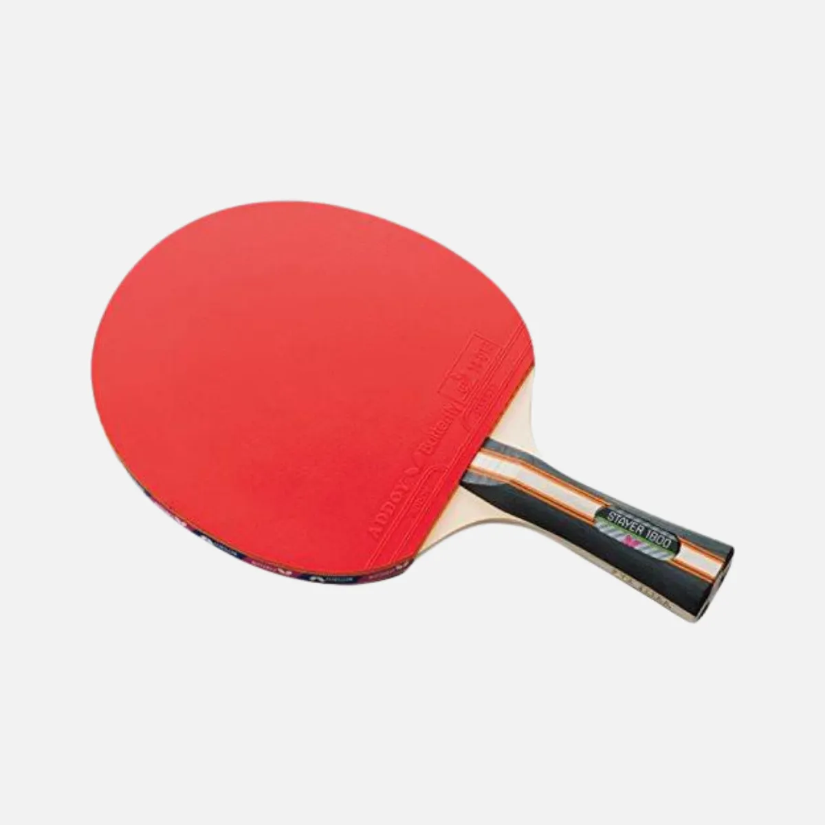 Butterfly Stayer 1800 Table Tennis set (1 TT Bat   2 Balls)