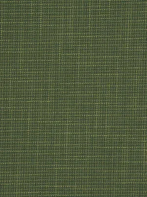 Cadiz - Grass