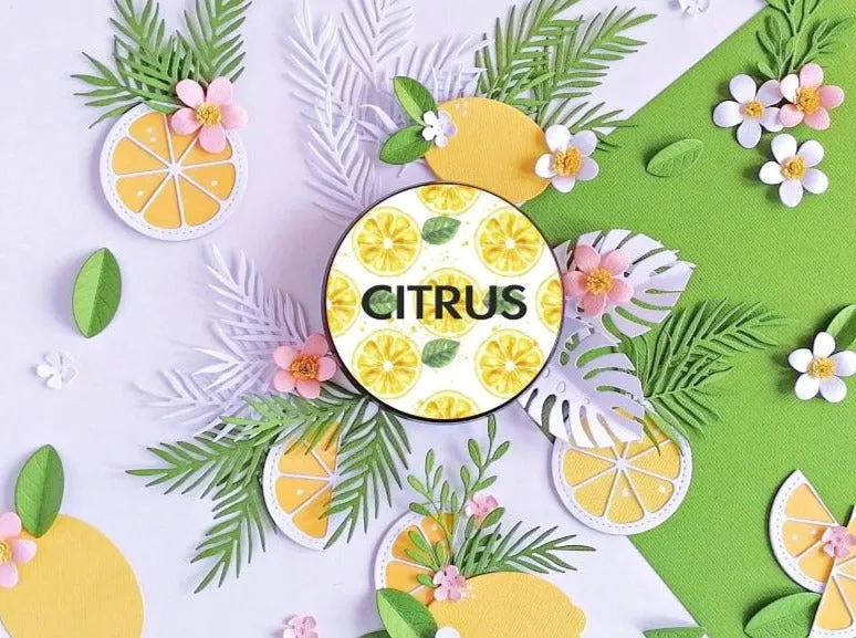 Citrus | Signature Candle