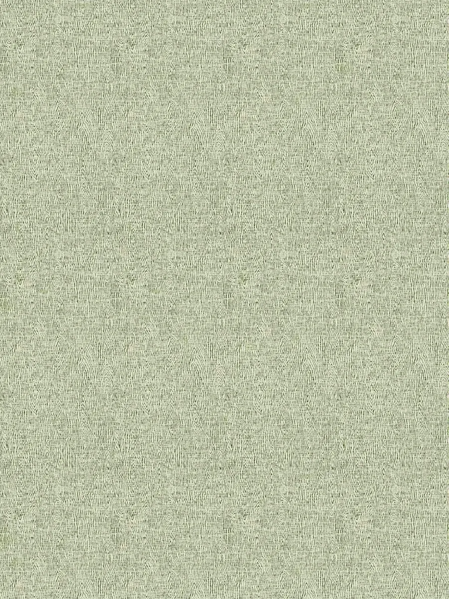 Cocoon - Fern