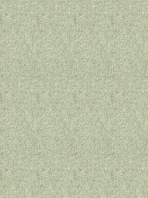 Cocoon - Fern