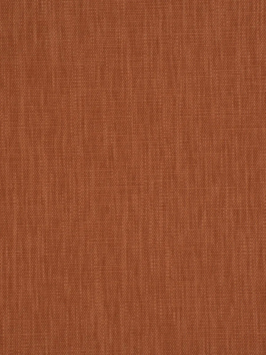 Ghent - Pumpkin