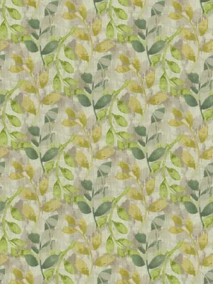 Ivy - Leaf