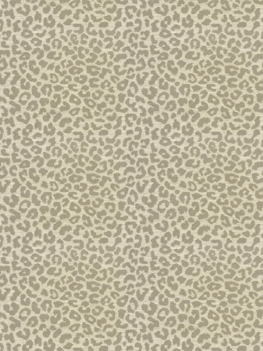 Kaza - Riverstone