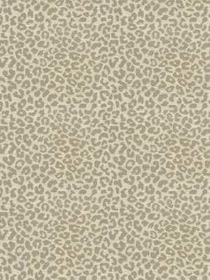 Kaza - Riverstone