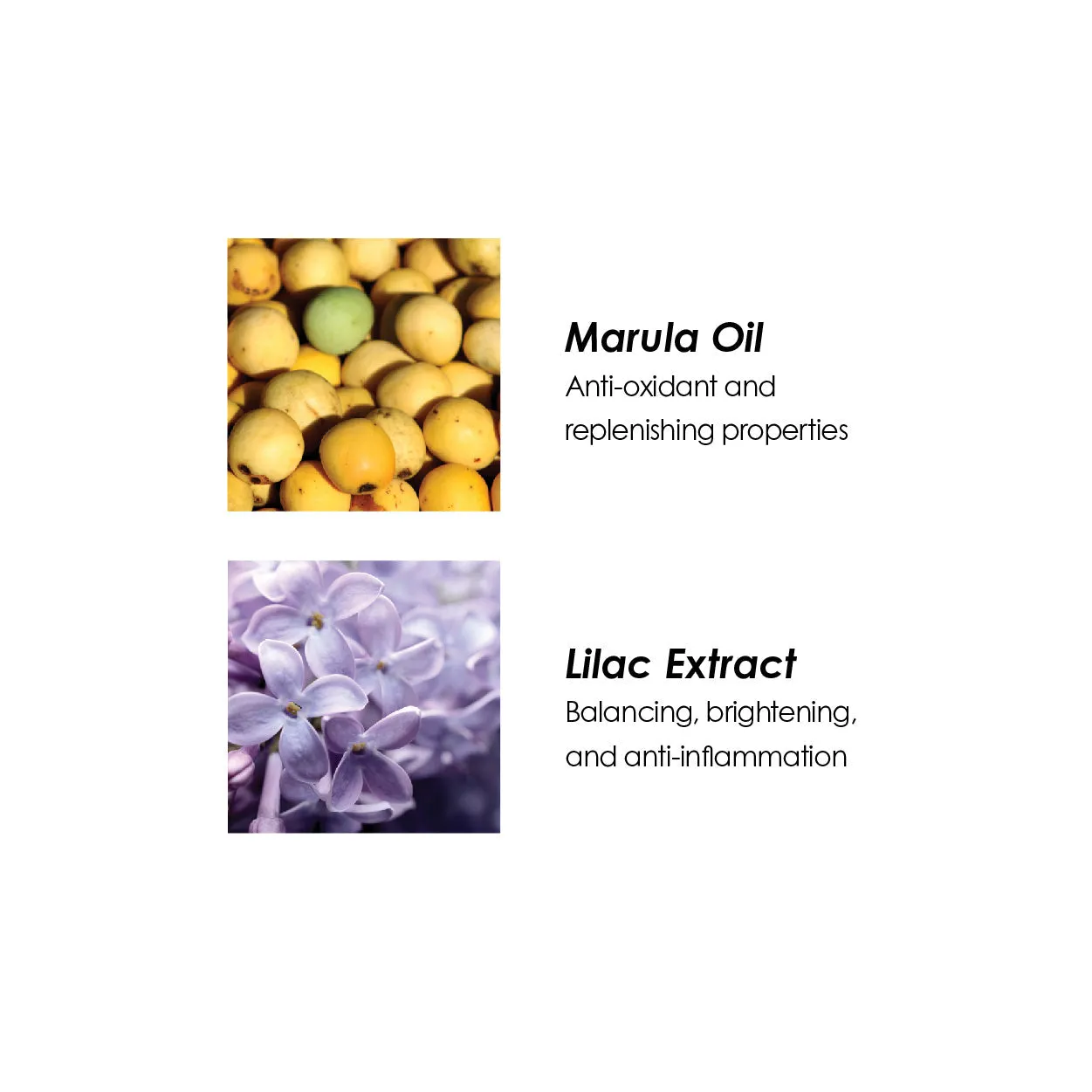 Lilac Facial Polish