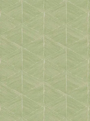 Lineation - Spring