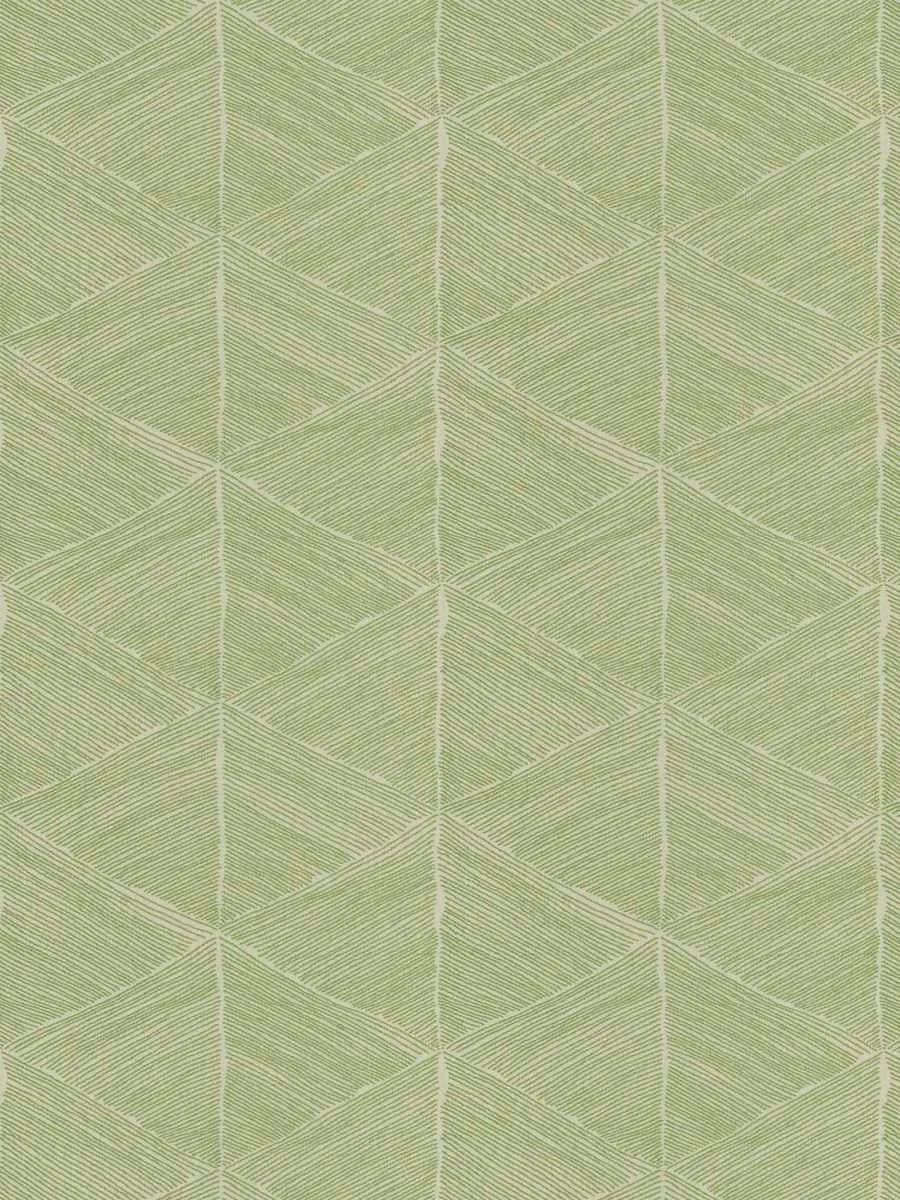 Lineation - Spring