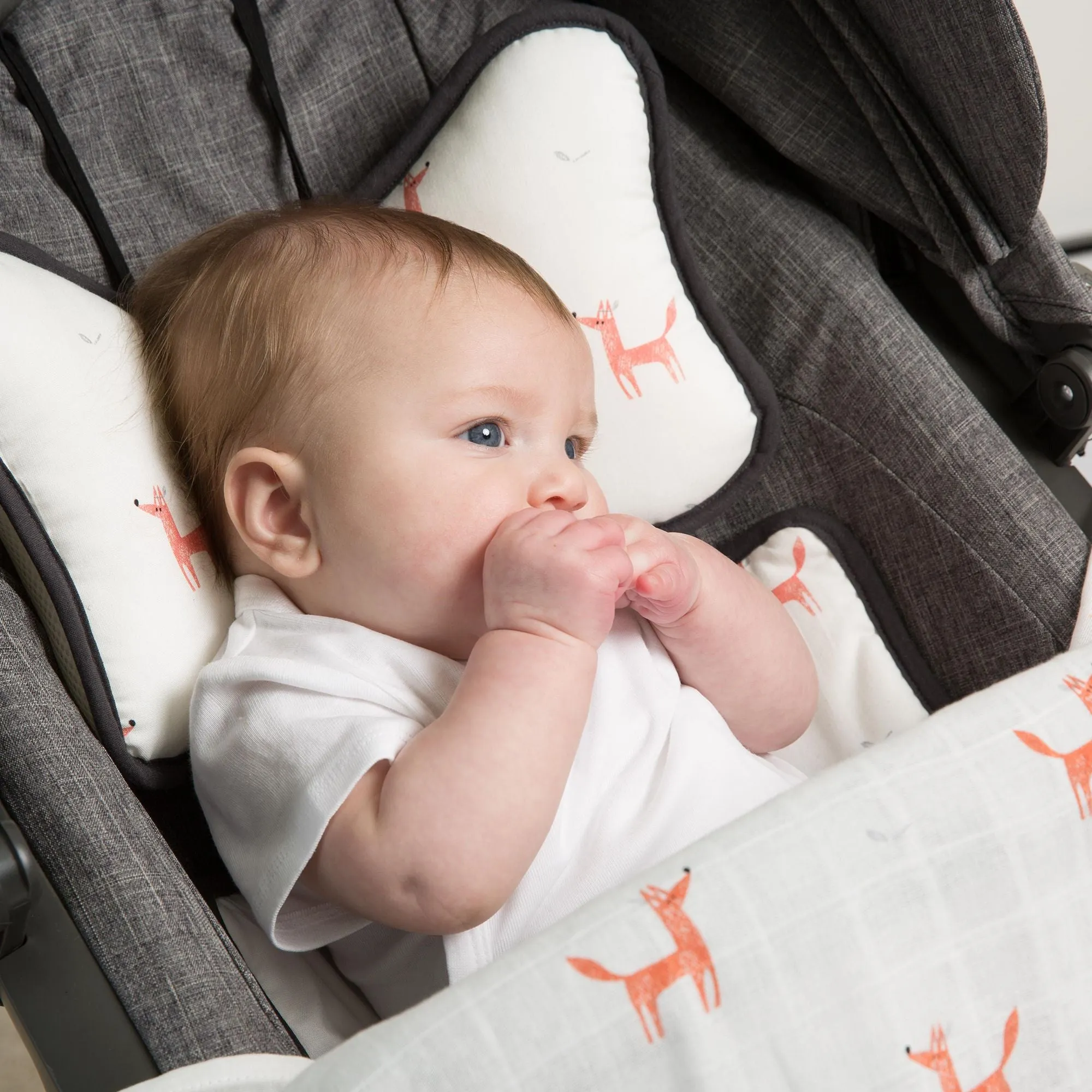 Little Fennec 3D Air Mesh Stroller Seat Liner