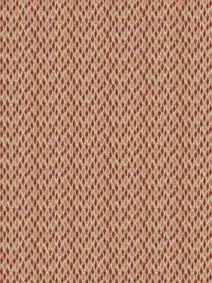 Ludhiana flame - Guava