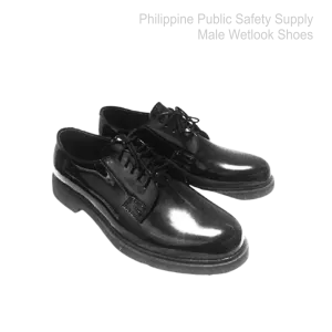 Male  Wetlook Shoes