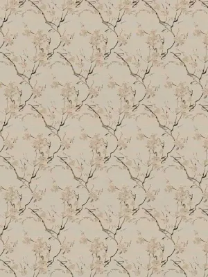 Mizu - Dove