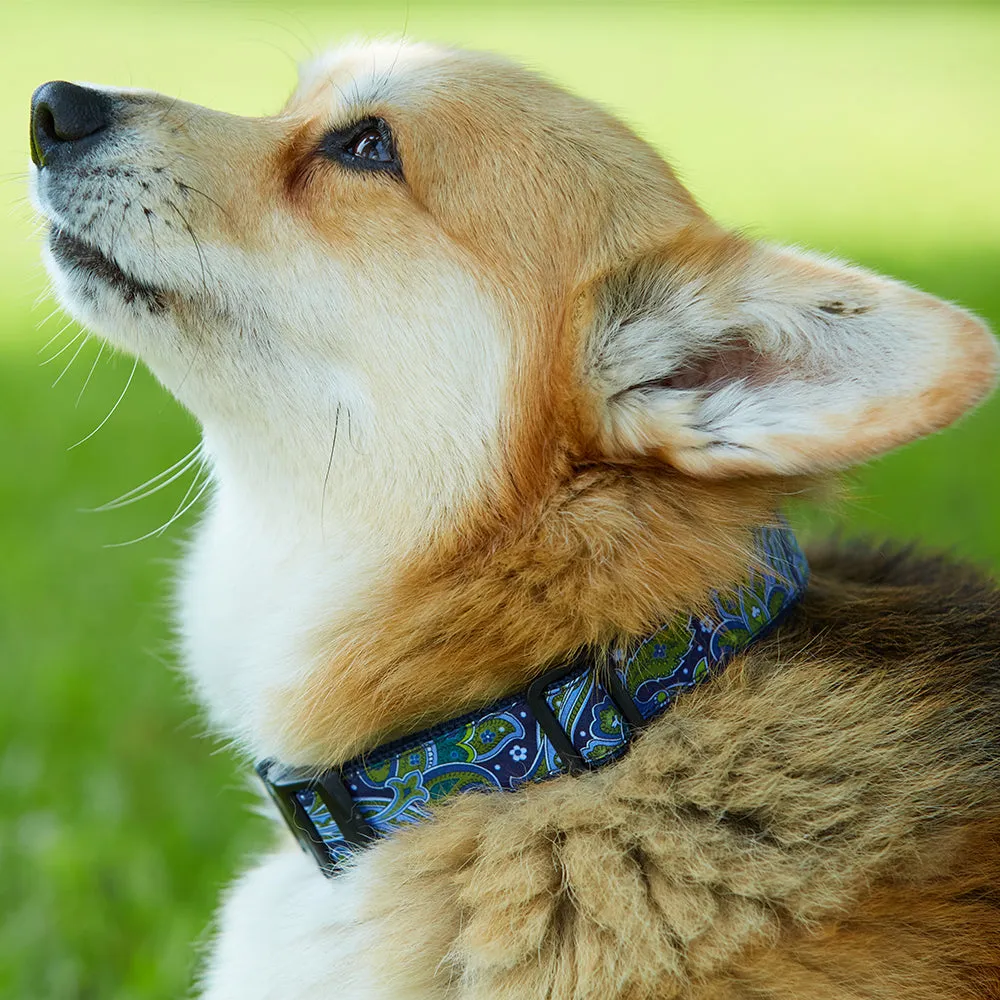 Pickleball - Dog Collar
