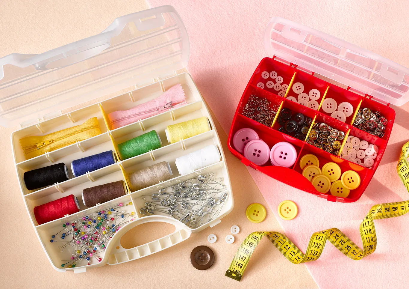 Plastic Forte Neptuno Divided Organizer