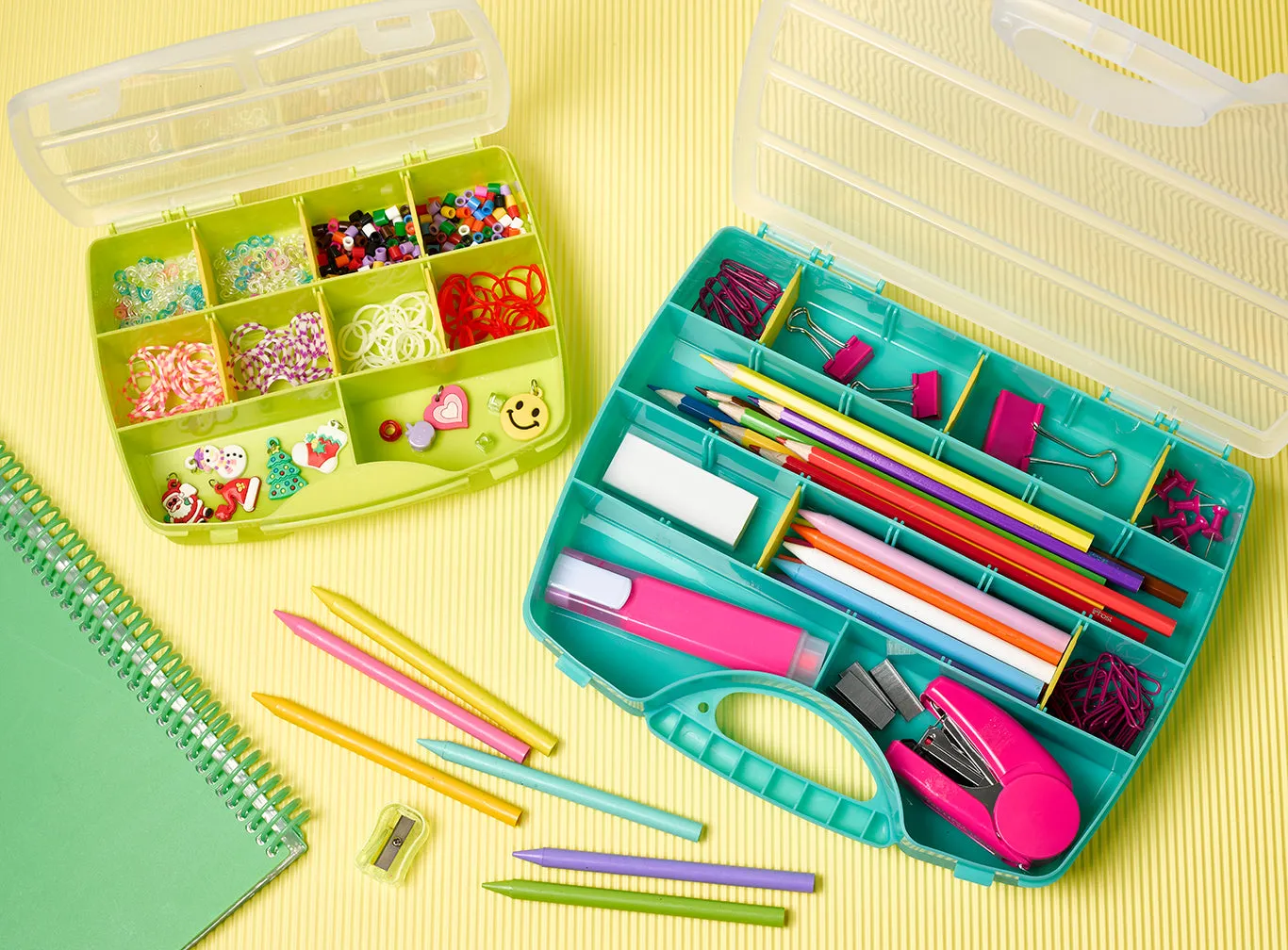 Plastic Forte Neptuno Divided Organizer