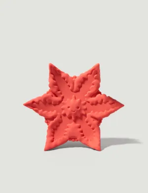 Starsi