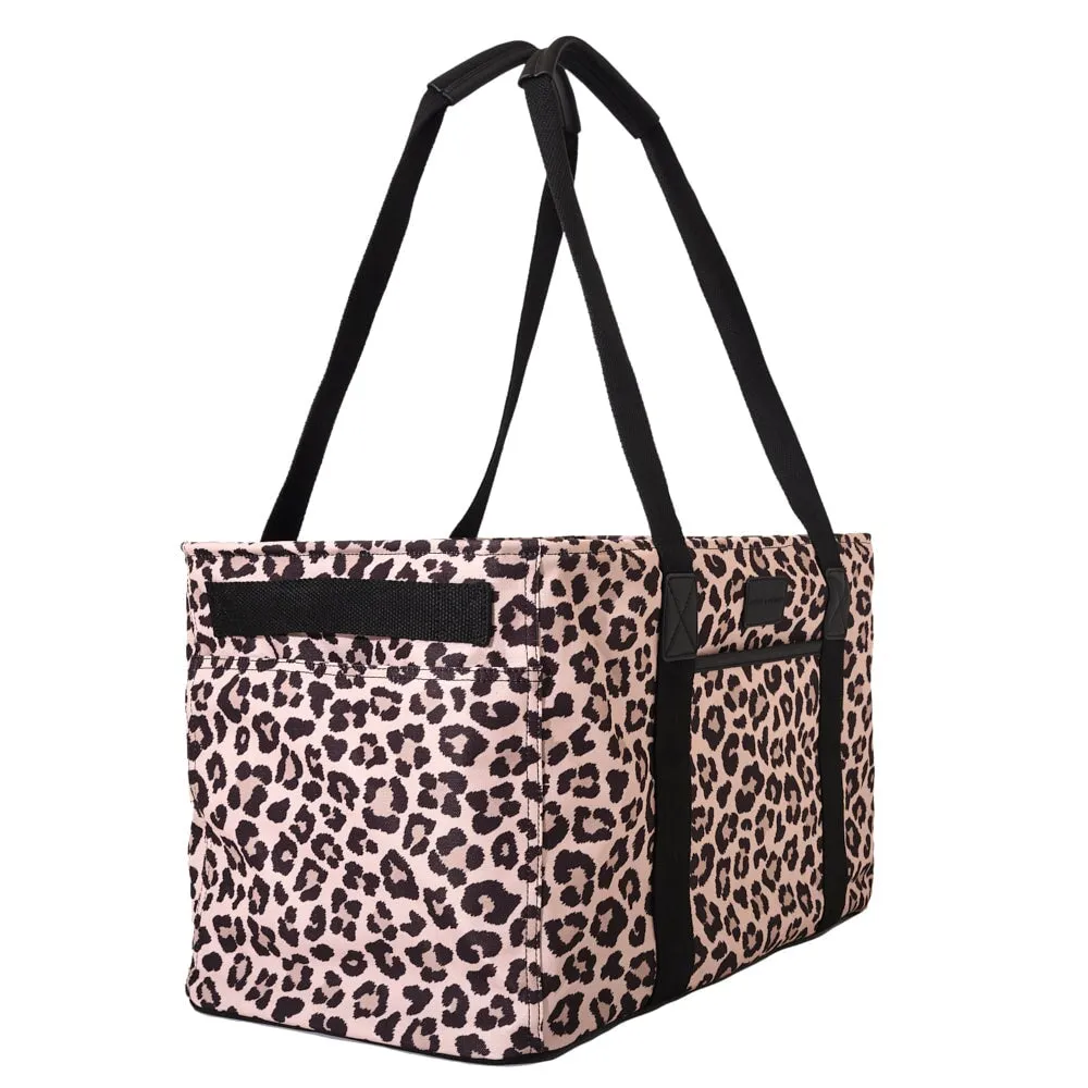 Traveller Leopard